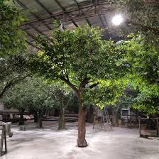 Artificial Trees